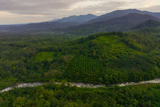 the beauty of the morning panorama with sunrise in indonesia village photo