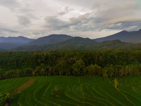 the beauty of the morning panorama with sunrise in indonesia village photo