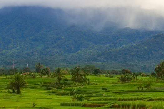 the beauty of the morning panorama with sunrise in indonesia village photo