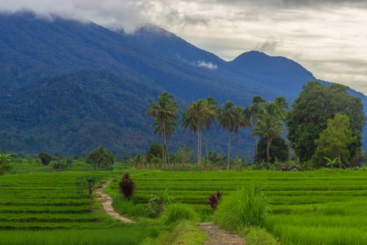 the beauty of the morning panorama with sunrise in indonesia village photo