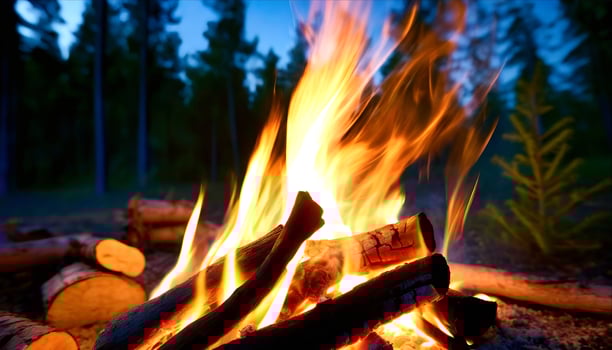 AI generated a campfire is lit in the woods photo