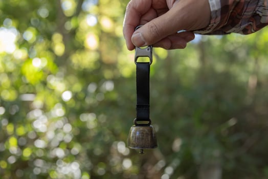 A bear bell with hand at the green forest in Autumn photo