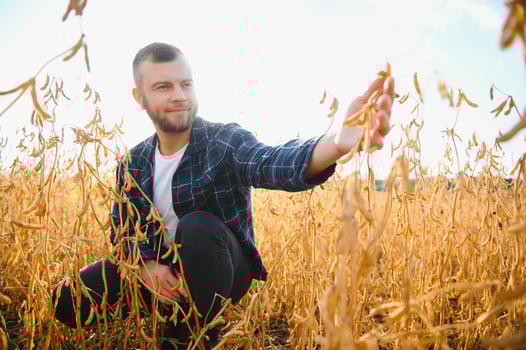 farmer agronomist in soybean field checking crops. Organic food production and cultivation photo