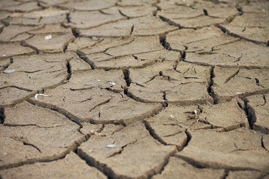 Dry land. Cracked ground background. photo