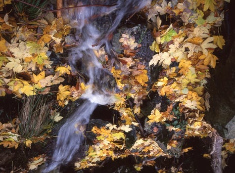 a waterfall is flowing over a rock photo