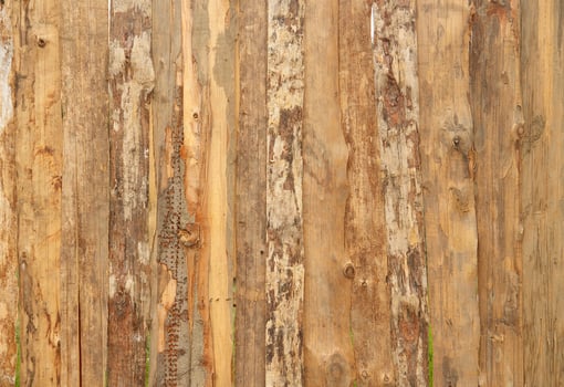 Wood Texture Background photo