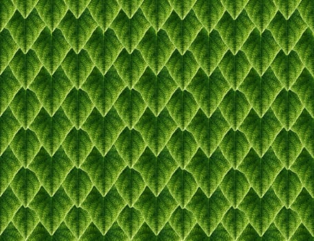 Yellow detail of green leaf background. photo
