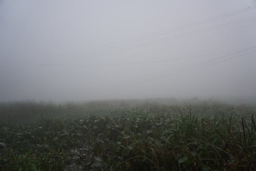 The moistened sawdust conditions in the morning. fog trail in the village morning fog. photo