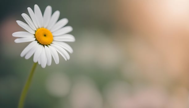 AI generated a single white daisy is standing in front of a blurred background photo