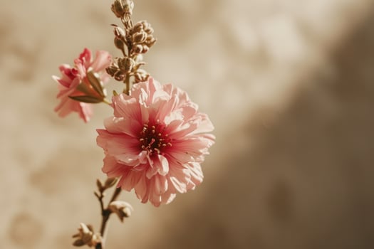 AI generated a small single pink flower is set against a beige background photo