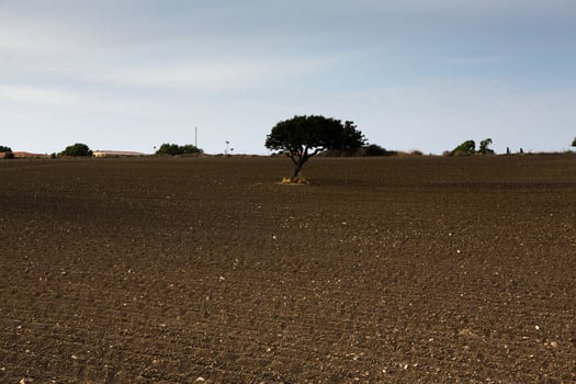 photo with beautiful landscape from the island of Sardinia, Italy