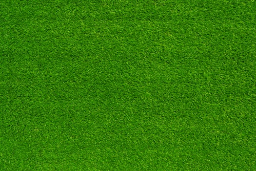Green grass texture and background use for copy space photo