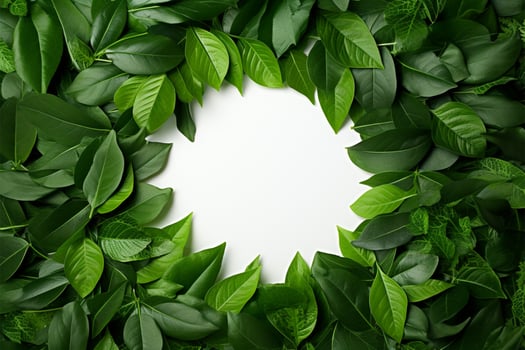 AI generated Green leaves form a circular frame with white center, top view photo
