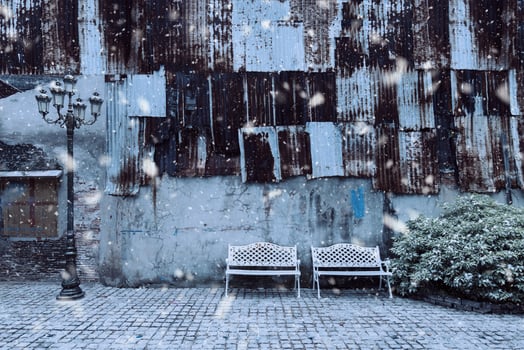 Old Garden in Ancient Town photo
