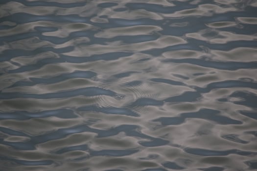 calm ripples in the ocean photo