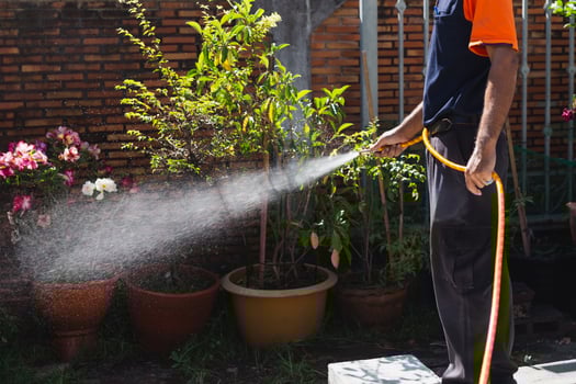 Termite controler spraying cemicals outside the house into the soil and wooden deck. photo