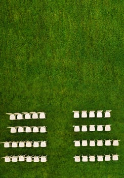 Top view of White wooden chairs standing in rows on a green field waiting for guests.View from a height of many white chairs standing on a green lawn photo
