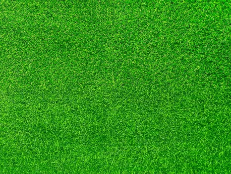 Green grass texture background grass garden concept used for making green background football pitch, Grass Golf, green lawn pattern textured background. photo