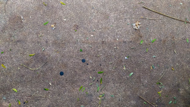 photo of asphalt texture dirty with dust and leaf debris