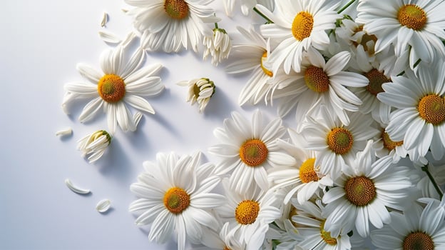 AI generated Bright Daisy Blossom Isolated on White Background photo