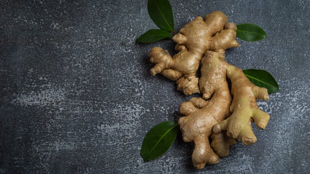 ginger root on a dark background photo