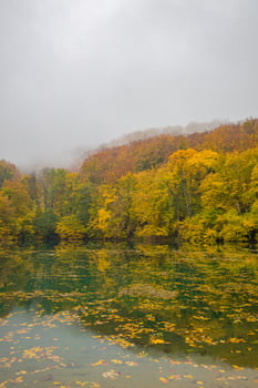 Beautiful, colorful autumn lake. Amazing water reflection, peaceful nature scenery. Yellow orange leaves, misty morning light. Relax autumnal fall nature view. Bright seasonal landscape, panoramic photo