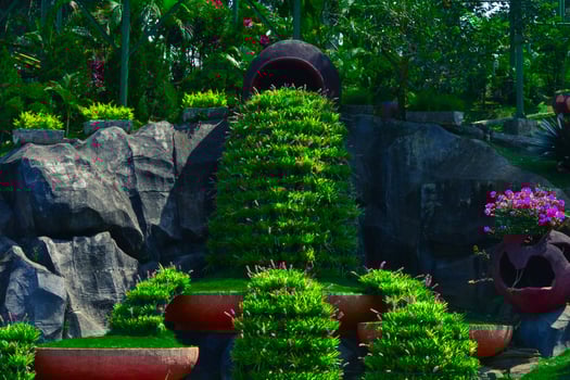 a green bush park with stone behind photo