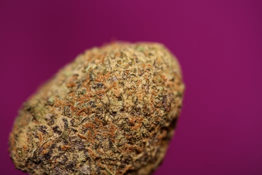 Close up of Cali amazing massive flowering medical marijuana buds detail of cannabis on purple backgrounds big size high quality instant printings photo