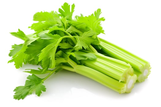 AI generated bunch of celery on white or isolated background photo