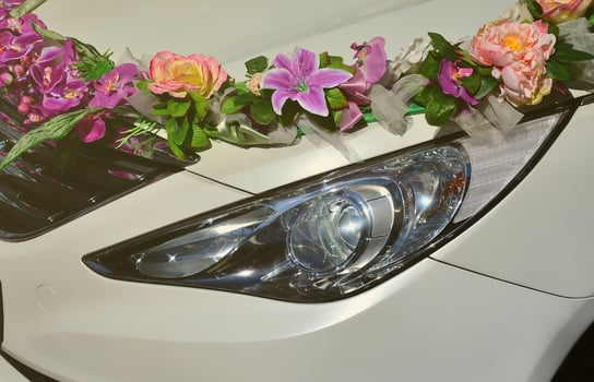 A detailed photo of the hood of the wedding car, decorated with many different flowers. The car is prepared for a wedding ceremony