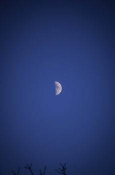 a Half moon photo