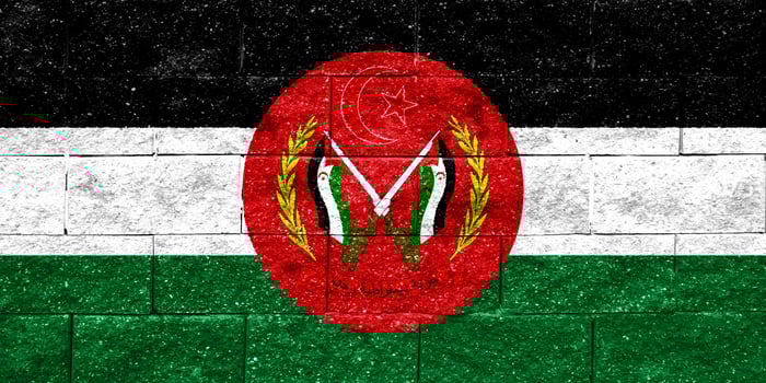 Flag and coat of arms of Western Sahara on a textured background. Concept collage. photo