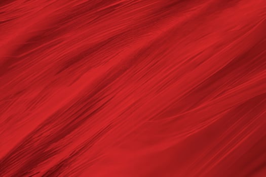 Beautiful dark red maroon feather pattern  texture background photo