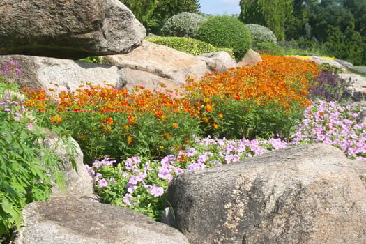 orange  flower blooming and stone decoration garden photo