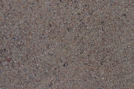 a close up of a skateboard on a concrete surface photo