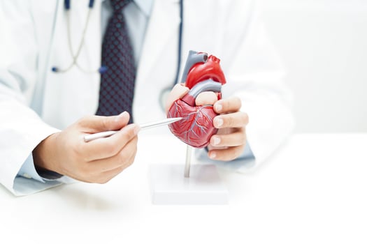 Cardiovascular disease CVD, doctor with heart human model anatomy for treatment patient in hospital. photo