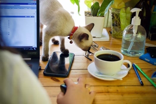 Women using laptop working and drink coffee cup hot at home photo