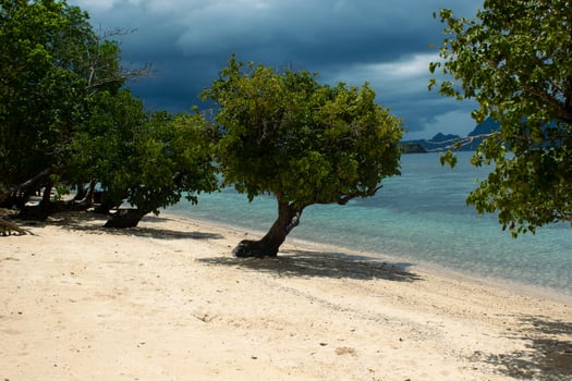 Paradise beach in the Philippines photo