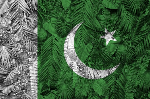 Pakistan flag depicted on many leafs of monstera palm trees. Trendy fashionable backdrop photo