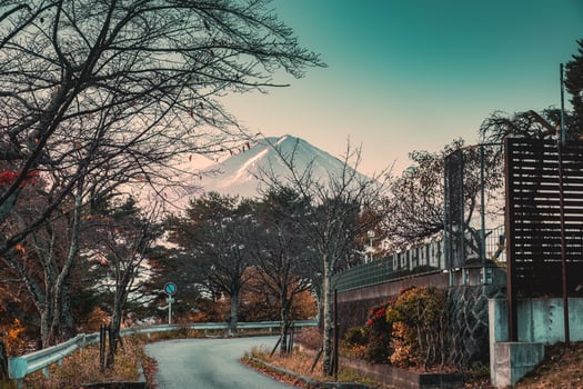 Mount Fuji with wither tree garden in autumn at Kawaguchiko photo