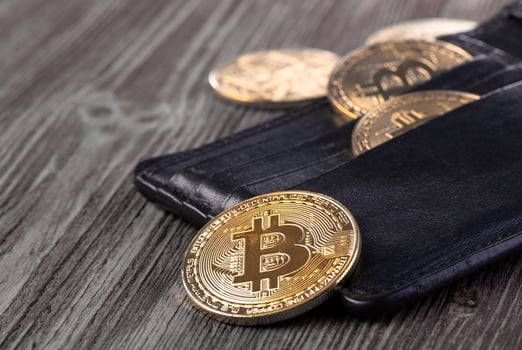 Popular cryptocurrency in leather wallet photo
