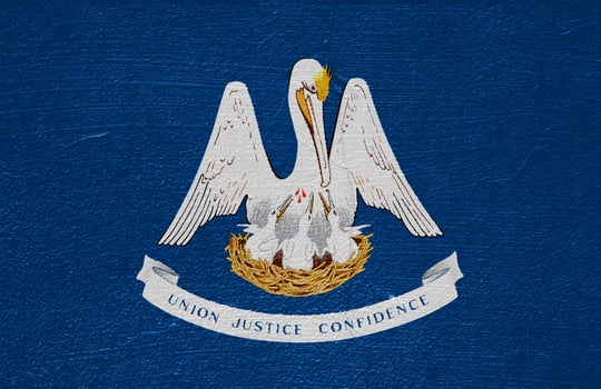 Flag of Louisiana US state on a textured background. Concept collage. photo