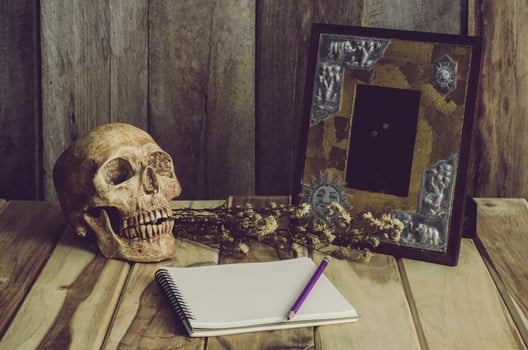 Still life skull picture frames, vases, dried rose notebook concept frequent memories photo