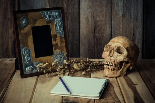 Still life skull picture frames, vases, dried rose notebook concept frequent memories photo