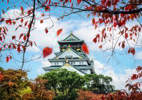 Osaka Castle with autumn foliage covered in Japan photo
