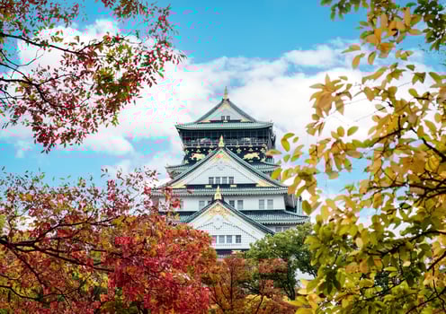 Osaka Castle with autumn foliage covered in Japan photo