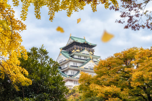 Osaka castle with yellow ginkgo leaves is falling in autumn photo