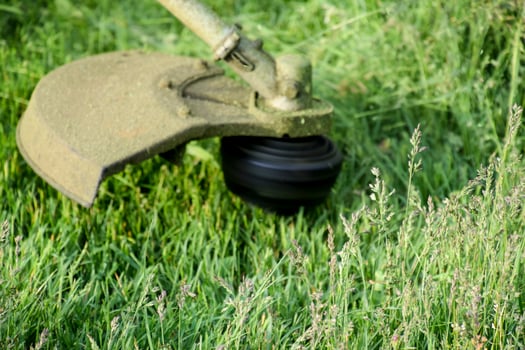 Application trimmers. Mowing green grass using a fishing line trimmer photo
