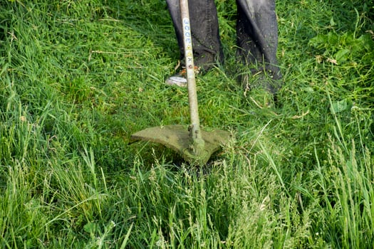 Application trimmers. Mowing green grass using a fishing line trimmer photo