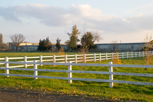 white fence made of wood around the park with small seedlings. photo